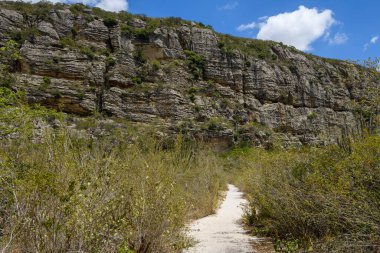 Sandstone Cliffs and Caatinga Trail, Buique, Pernambuco, Brezilya 28 Aralık 2025