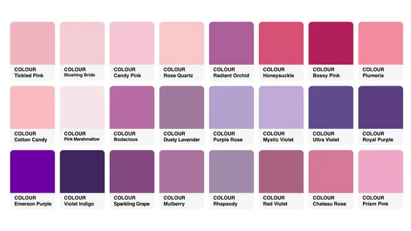 Renk Paleti Kataloğu RGB Mor Örnekler Vektörü