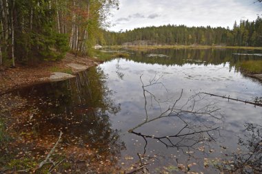 Finlandiya 'daki Nuuksio Ulusal Parkı' nda Mustalampi Gölü.