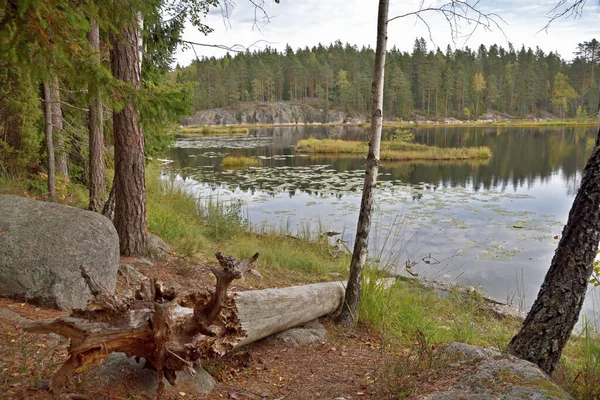 Danau Mustalampi Dengan Pulau Gambut Taman Nasional Nuuksio Finlandia — Stok Foto