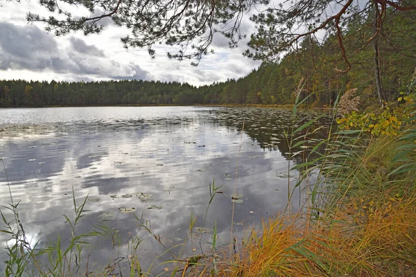 Озеро Колмикульмалампи Национальном Парке Нууксио Финляндии — стоковое фото