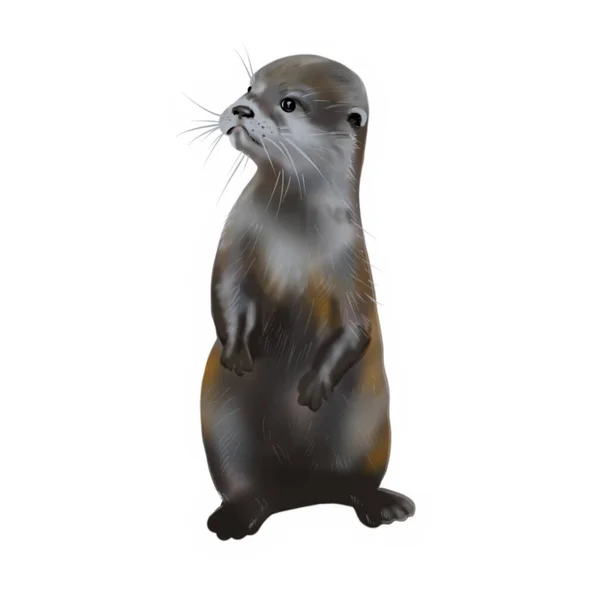 Otter Geïsoleerd Witte Achtergrond Valentijnsdag Sticker Illustratie — Stockfoto