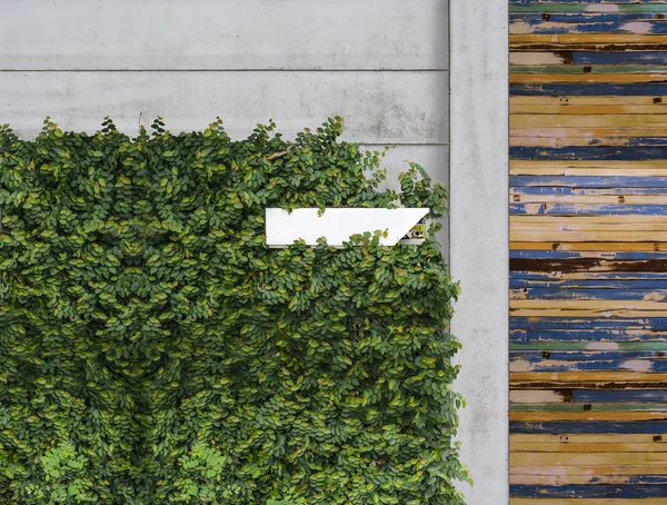 Climber plant and post box — Stock Photo, Image