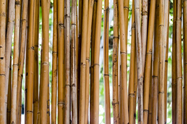 Recinzione di bambù — Foto Stock