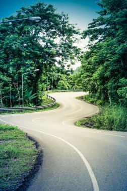 Yılan eğri yol