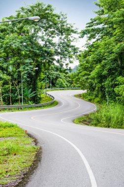 Yılan eğri yol