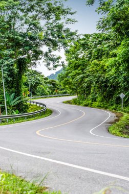 Yılan eğri yol