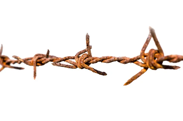 Rusted barb wire — Stock Photo, Image