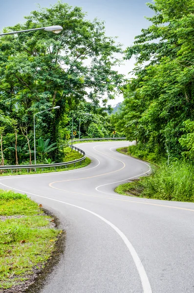 Snake curved road — Stock Photo, Image