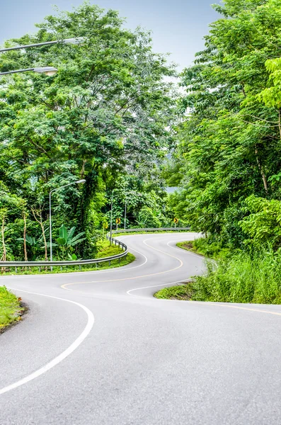 Snake curved road — Stock Photo, Image