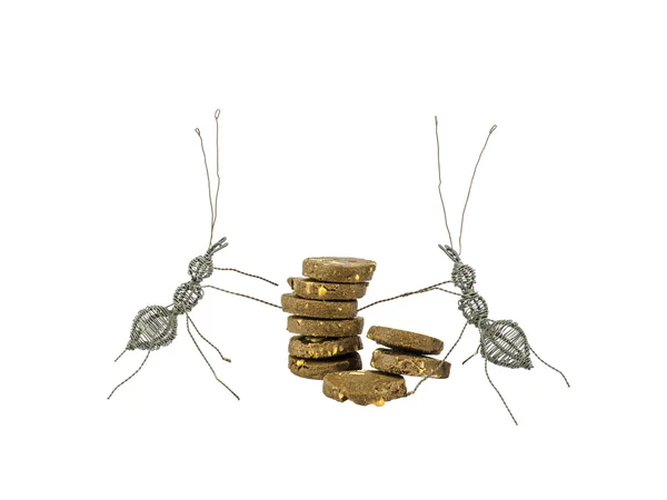 Steel ant and cppkies — Stock Photo, Image