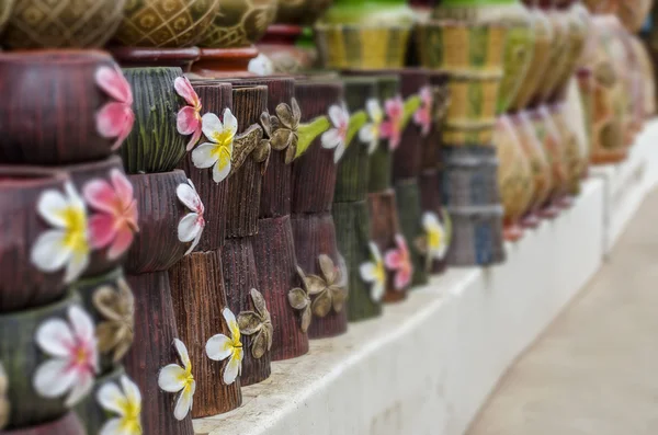 Flor em vaso baixo — Fotografia de Stock