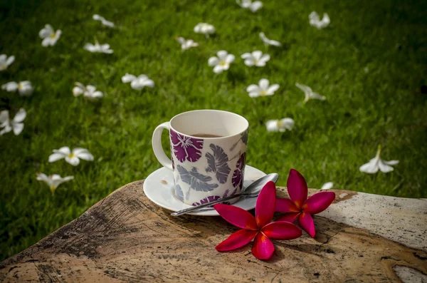 Coffee in garden — Stock Photo, Image