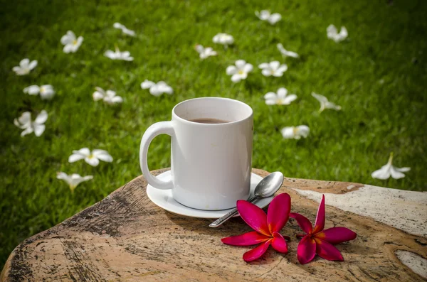Coffee in garden — Stock Photo, Image