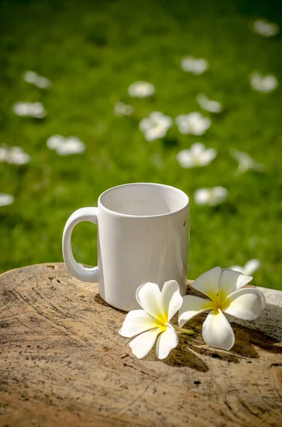 Coffee in garden — Stock Photo, Image