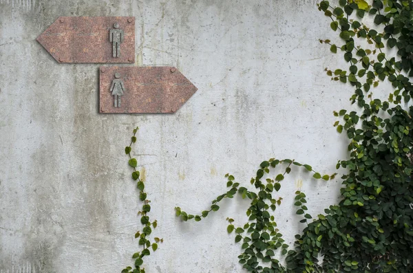 Climber plant and toilet sign — Stock Photo, Image