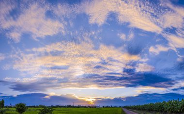 güzel gün batımı gökyüzü ve pirinç alan