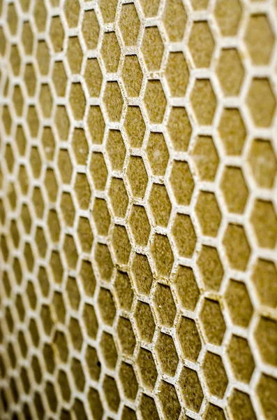 Motif nid d'abeille sur le mur — Photo