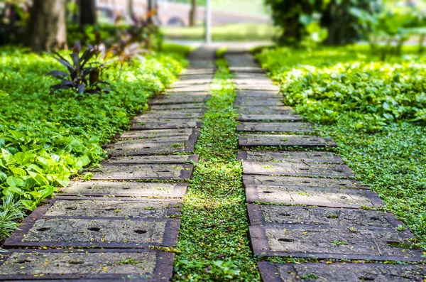 Betonsteg im Park — Stockfoto