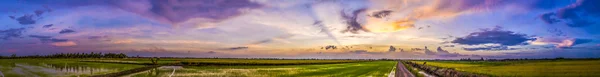 Schöner Sonnenuntergang Himmel und Reisfeld — Stockfoto