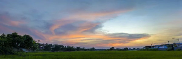 Cielo hermoso atardecer y campo de arroz —  Fotos de Stock