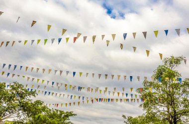 Festival bayrak