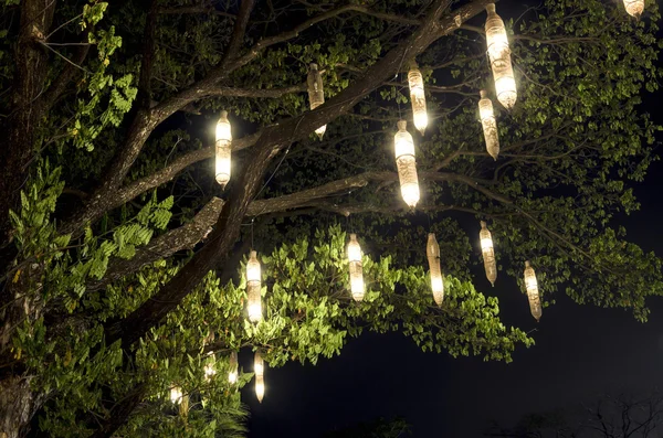 Lanterns hanging from tree — Stock Photo, Image