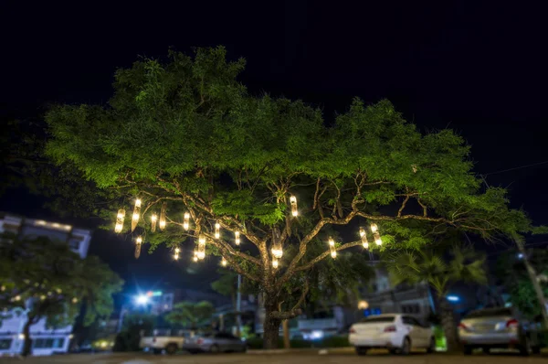 Linternas colgando de un árbol — Foto de Stock