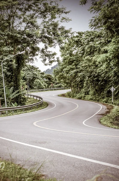 Vintage toned image of snake curved road — Stock Photo, Image