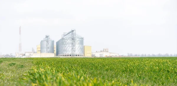 Grain elevator. Metal grain elevator in agricultural zone. Agriculture storage for harvest. Grain elevators on green nature background. Exterior of agricultural factory.