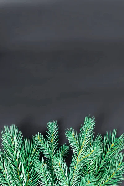 Kerst Achtergrond Groene Takken Van Kerstboom Zwarte Achtergrond — Stockfoto