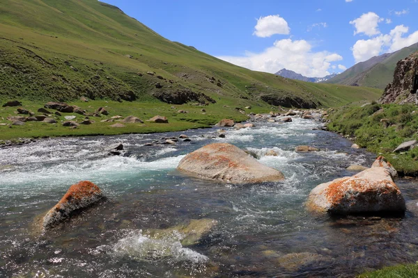 Río de montaña —  Fotos de Stock