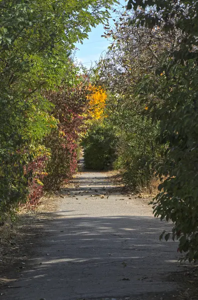 Fußweg im Herbstpark — Stockfoto