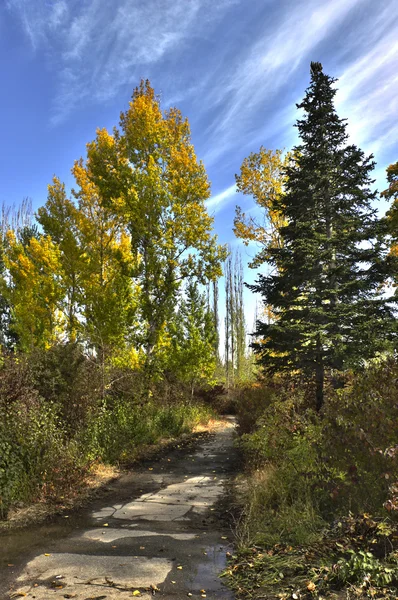 Herfstpark — Stockfoto