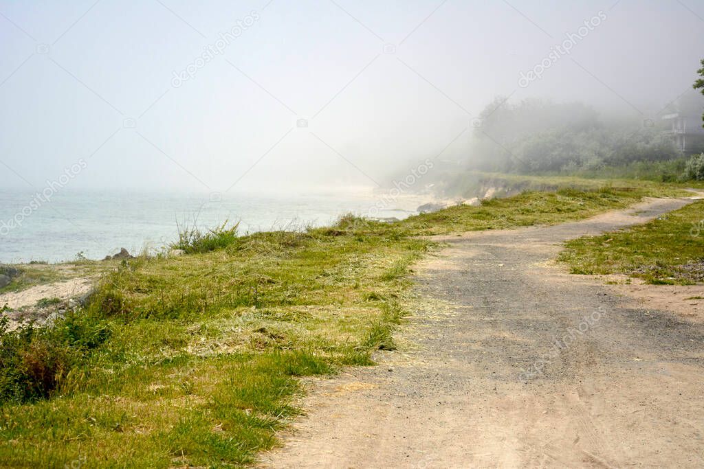 Foggy seashore with ground road and green grass in roadsides with sea in background.