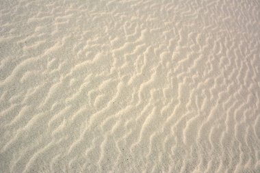 Dalgalı yüzey desenli açık altın kum dokusu
