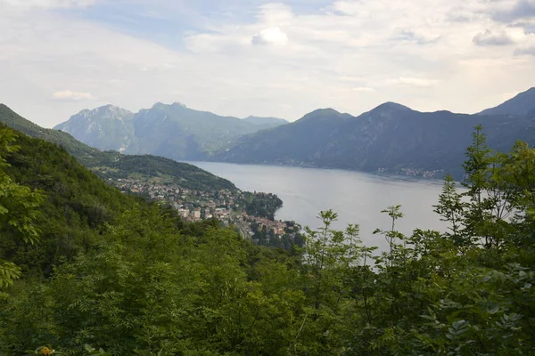 Panorama of mountain lake Como surrounded by green hills covered with cedar forest — Stock Photo, Image