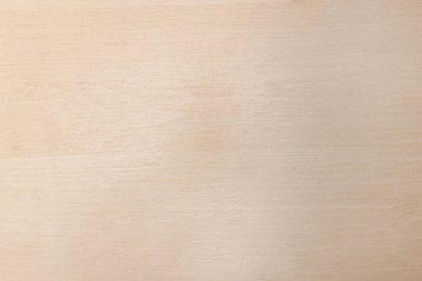 Çam ağacı arka planı. çam ağacı.