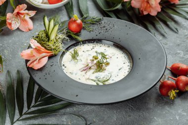 Geleneksel Rus soğuk çorbası kvass, okroshka jambon ve sebze, yiyecek..