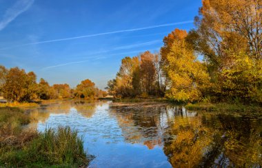 Sonbaharda sudaki ağaçların yansıması