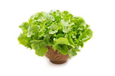 Beyaz arka plan üzerinde izole organik sebze