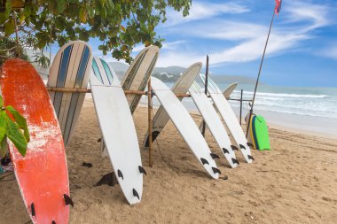Sörf tahtaları kum Beach, kata beach Phuket, Tayland