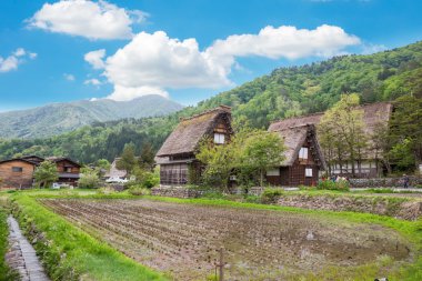 GIFU, JAPAN - 10 Mayıs 2015: Shirakawago 1995 'te UNESCO' nun dünya mirası sahası ilan etti, geleneksel gthe-zukuri çiftlik evleri ile ünlüdür, köy bol doğa ile çevrilidir..