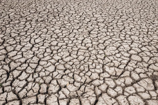 dry soil arid. drought land textured backgrounds