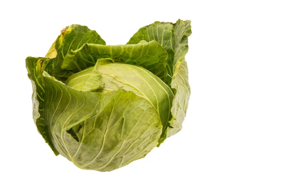 Closeup cabbage on isolated white background — Stock Photo, Image