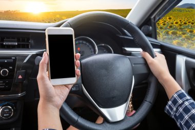 Gün batımında arka planda ayçiçeği tarlası olan bir arabada dokunmatik ekran akıllı telefon ve direksiyon kullanan genç kadın sürücü.