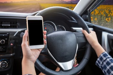 Dokunmatik ekranlı akıllı telefon ve direksiyon kullanan genç bir kadın sürücü, alacakaranlık saatinde ayçiçeği tarlası olan bir arabada direksiyon tutuyor.