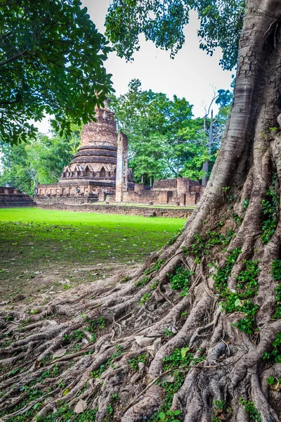 Kamphaeng Phet Tarihi Parkı Tayland Daki Antik Tuğlalardan Yapılmış Eski — Stok fotoğraf