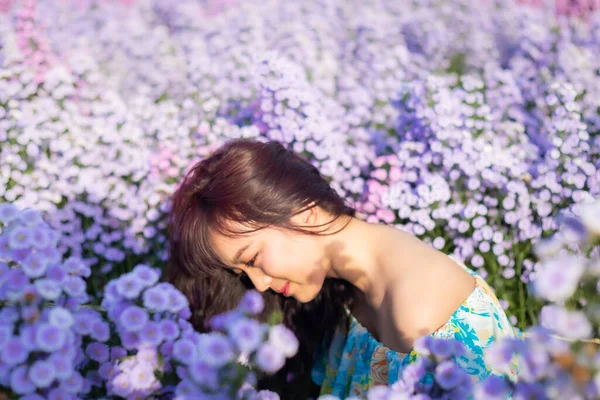 Asian happy woman in flower dress sit in Margaret Aster flowers field. Winter travel relax vacation concept at Chiang Mai, Thailand. Soft focus