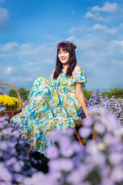 Asian happy woman in flower dress sit in Margaret Aster flowers field. Winter travel relax vacation concept at Chiang Mai, Thailand